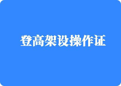 大鸡巴插进去网站登高架设操作证